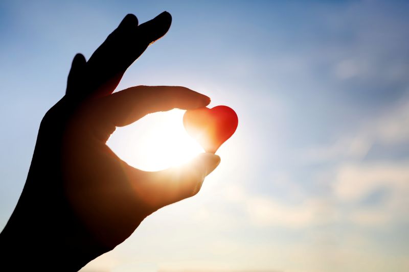 지역주민 참여활동 이미지